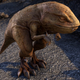 Illustration for article titled Plush emElder Scrolls/em Pack Guar Probably Wont Bite Your Head Off